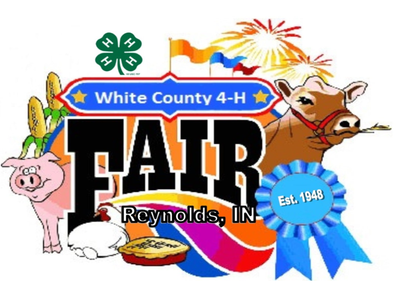 Fair Logo