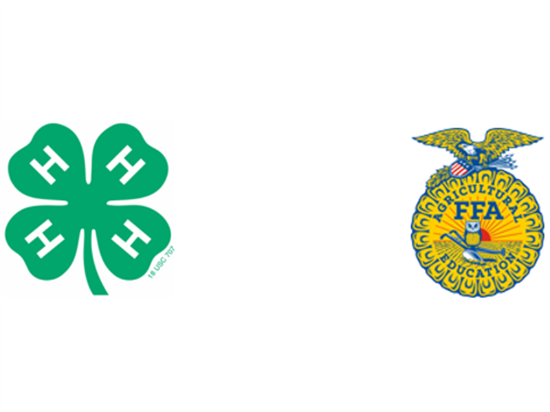 Logo for 2024 Chouteau County 4-H and FFA Fair