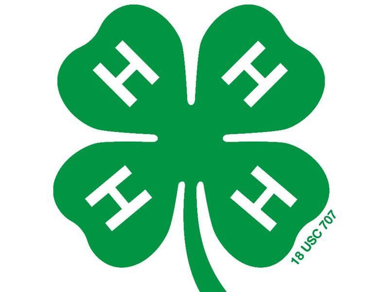 Logo for 2024 Callhoun County Fair