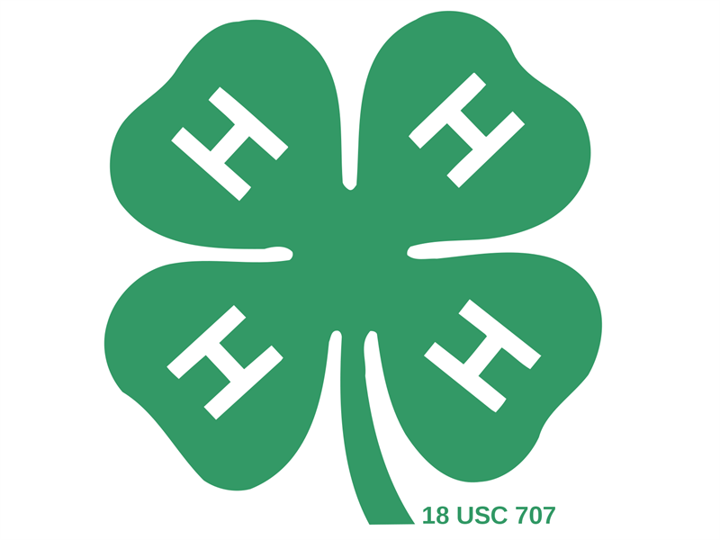 Logo for 2024 Moultrie-Douglas County Fair