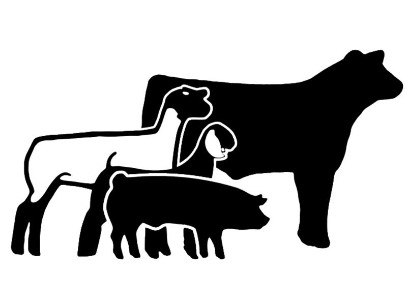 Logo for 2024 Shenandoah County 4-H/FFA Livestock Show and Sale